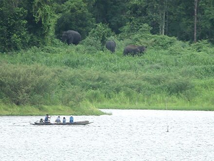 สดจากเยาวชน - มิตรภาพชายป่า เด็กห้วยขาแข้ง