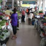 ผักชี-ต้นหอม ราคาพุ่งสูง เหตุน้ำท่วมภาคเหนือ แปลงผักจมเสียหาย ยันไม่เกี่ยวช่วงกินเจ