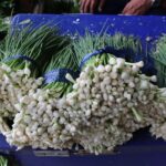 ผักชี-ต้นหอม ราคาพุ่งสูง เหตุน้ำท่วมภาคเหนือ แปลงผักจมเสียหาย ยันไม่เกี่ยวช่วงกินเจ