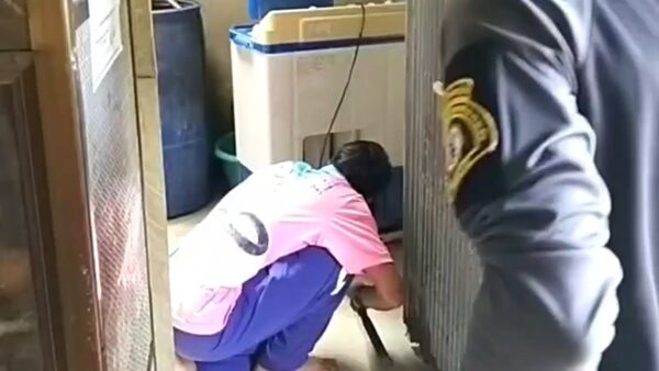 เจ้าของบ้าน ผวาหนัก งูจงอาง ยาวกว่า 3 เมตร เลื้อยซุกเครื่องซักผ้า โทรแจ้งเจ้าหน้าที่ช่วยจับวุ่น แห่ส่องบ้านเลขที่ เป็นเลขเด็ดหวยงวด 1 ตุลาคม 2567
