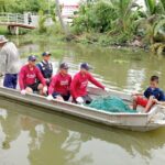 บุกตรวจกระทุ่มแบน ลงแขกลุยคลอง ผงะปลาหมอคางดำ ซุกคลองภาษีเจริญเกือบ 10 ตัน