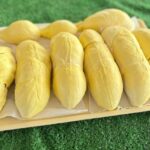 เริ่มแล้ว มหกรรมทุเรียนเจ๊ดา จัดโปรหมอนทองลูกละ 1 บาท ลูกค้าแห่มาซื้อหิ้วกลับบ้าน