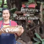 ฤดูกาลมาถึงแล้ว พิซซ่าหน้าเห็ดโคน ของเด็ดของดี อ.คีรีมาศ มีให้กินปีละ1ครั้ง