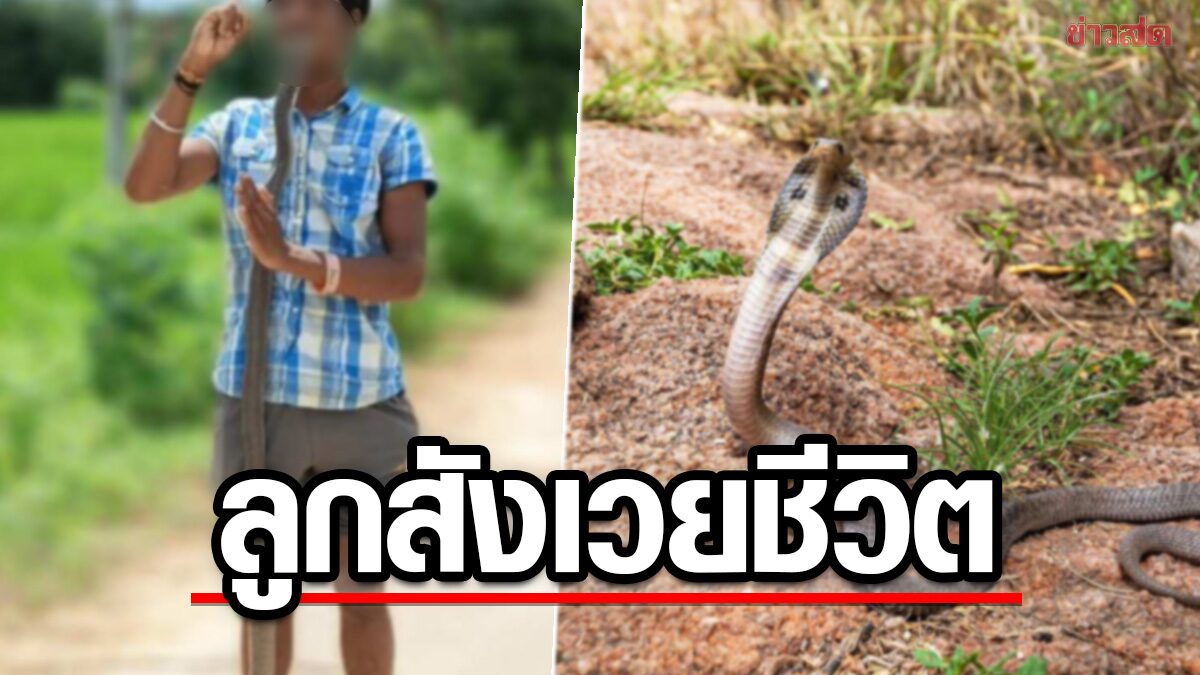 Deadly Dare: Young Man’s Shocking Cobra Stunt Ends in Tragic Death on Camera