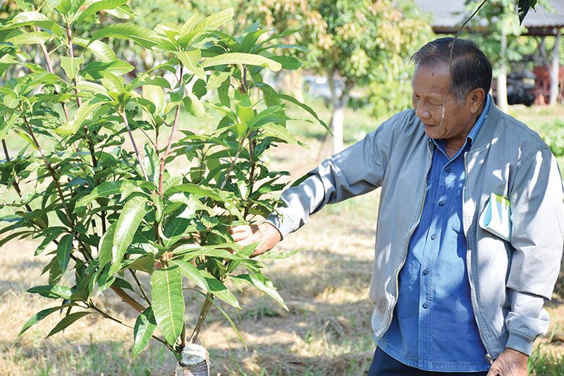 หลาก&หลายเกษตร - ‘สวนคุณช้าง’ยืนหนึ่งGAPดีเด่น สร้างรายได้หลักล้านแม้ช่วงวิกฤตโควิด