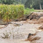ฝนตกหนักเชียงดาว น้ำซัดฝายวังฮายพัง ทะลักท่วมบ้าน-พื้นที่เกษตร เร่งช่วย-เตรียมรับอุทกภัย 