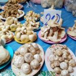 1ปีมีครั้งเดียว อร่อยที่สุด โผล่แล้วเห็ดโคนพรานกระต่าย ราคาดีกิโล 450 บาท ย้ำยังไม่แพงมาก 