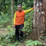 ตะลึง สะตออายุ 100 ปี 'ฝักดก เม็ดใหญ่ยาว' เพียงต้นเดียว สร้างเงิน 3 หมื่นบาทต่อปี