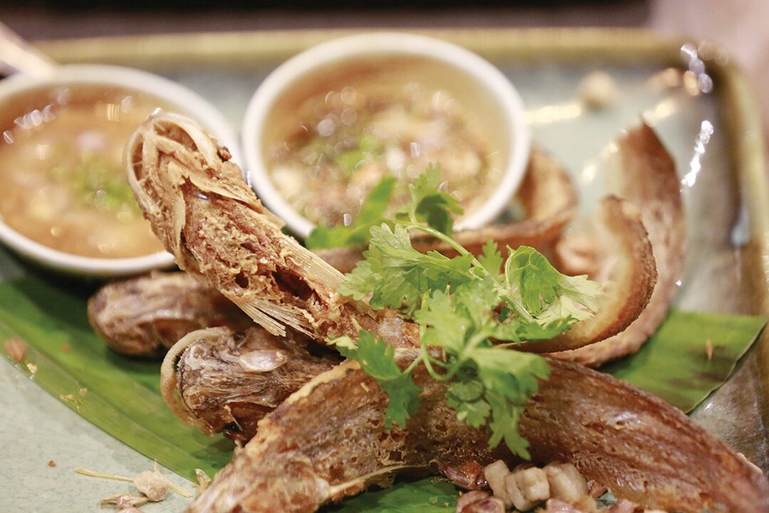 ข่าวสดหลาก&หลาย - SILPA SAVOURY ชิมประวัติศาสตร์ผ่านปลาร้า-น้ำปลา-กะปิ