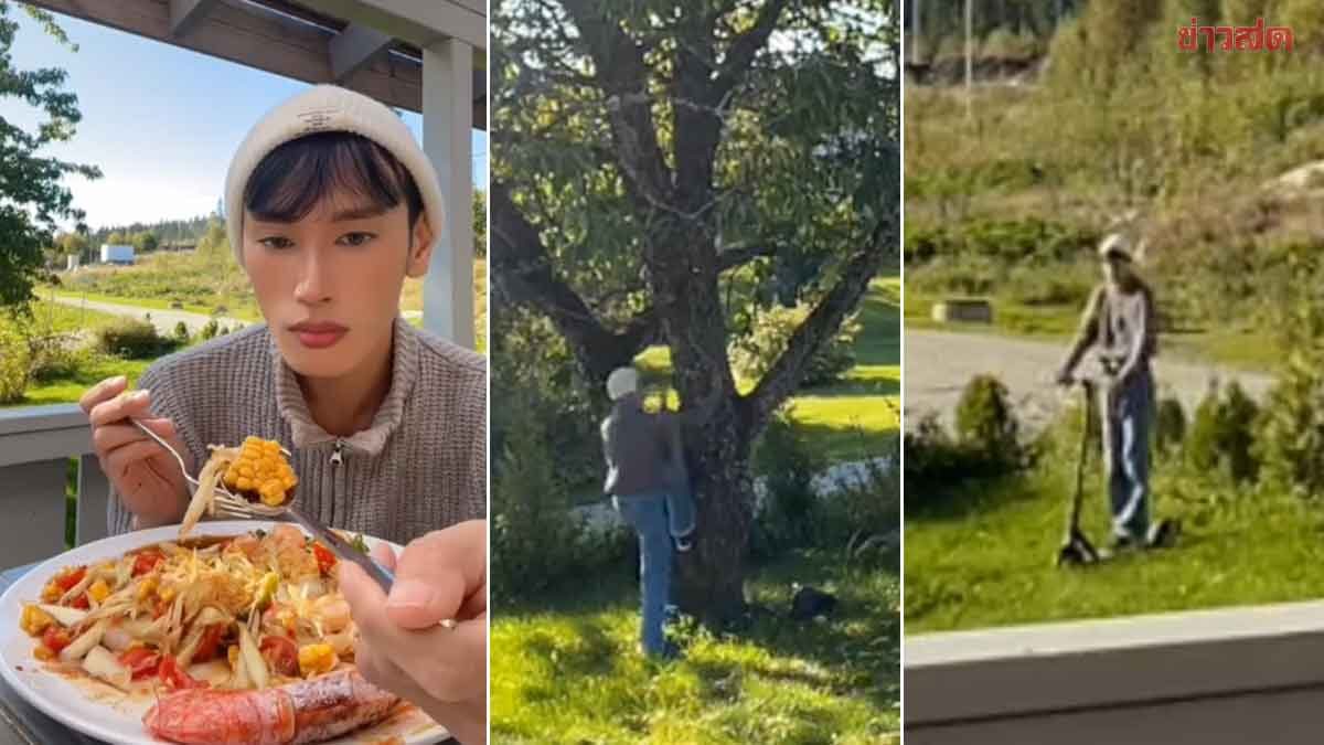 Tree-mendous Controversy: Viral Somtam Scooter Star Exposed – Is the Jaw-Dropping Stunt Real or Just a Clever Fake