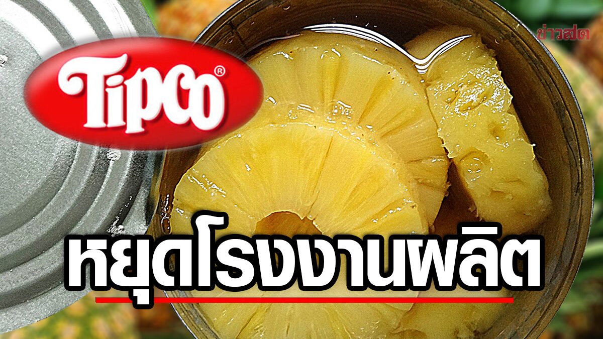 TIPCO’s Bitter Harvest: Tinned Pineapple Production Comes to an End Amid Mounting Losses