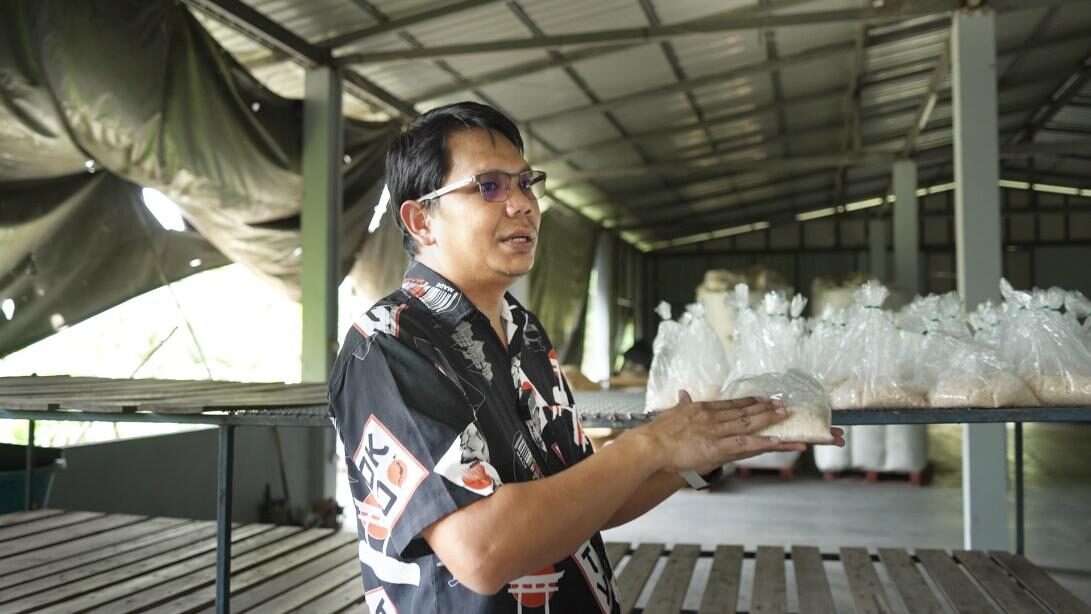 คุณณฎล แนะนำการใช้ “เชื้อราบิวเวอเรีย” จุลินทรีย์ที่สามารถก่อโรคกับแมลงศัตรูพืชหลายชนิด