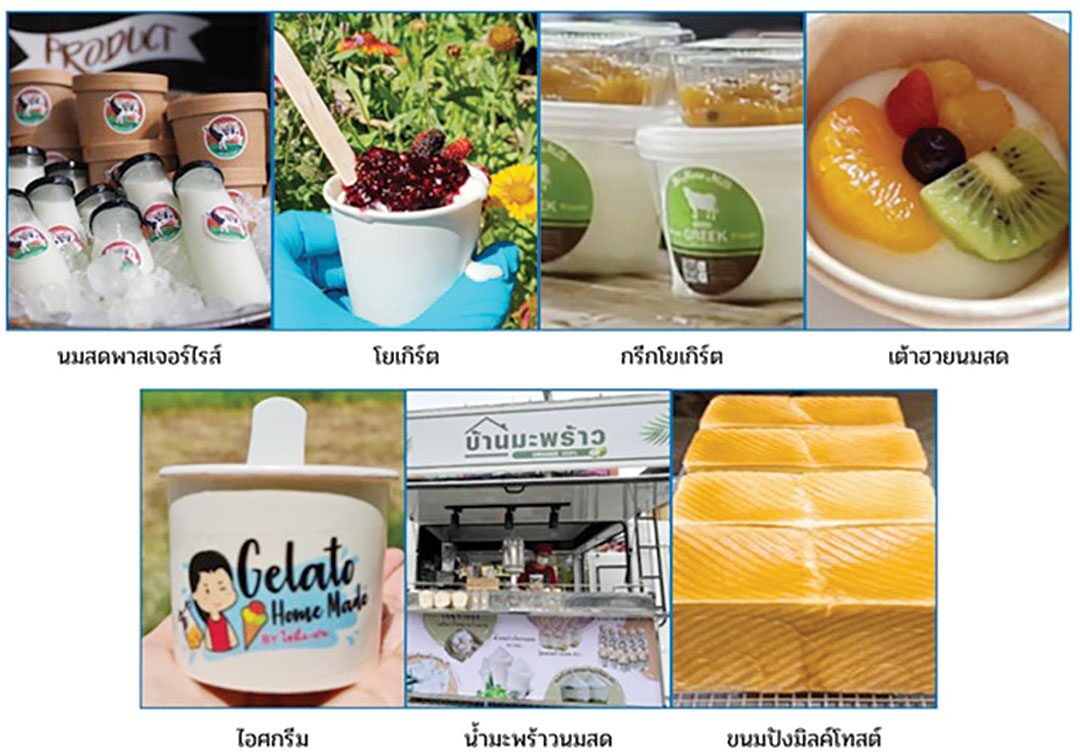 หลาก&หลาย - กางผลศึกษา‘น้ำนมดิบอินทรีย์’ สศก.มั่นใจสร้างรายได้เกษตรกรยั่งยืน