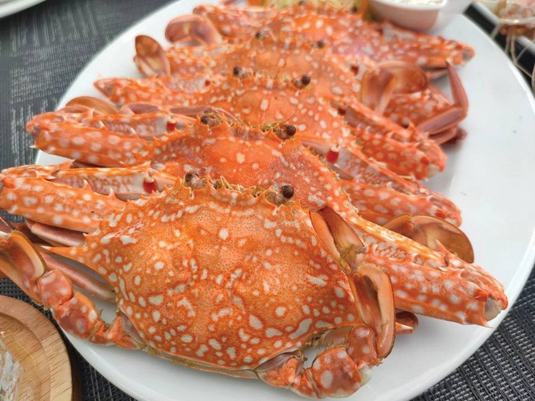 อิ่มอร่อย - ‘เดอบัว คาเฟ่’สตูล ซีฟู้ดสด-อาหารพื้นถิ่นจุใจ