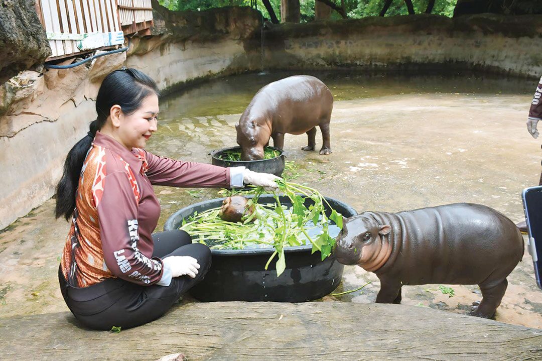 เพื่อนตัวเล็ก