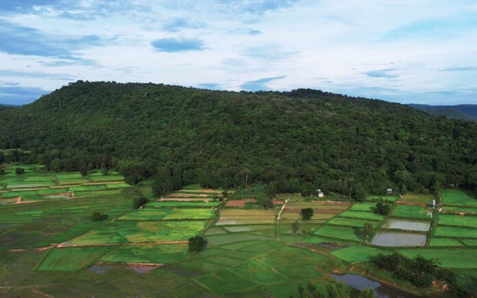 สดจากเยาวชน