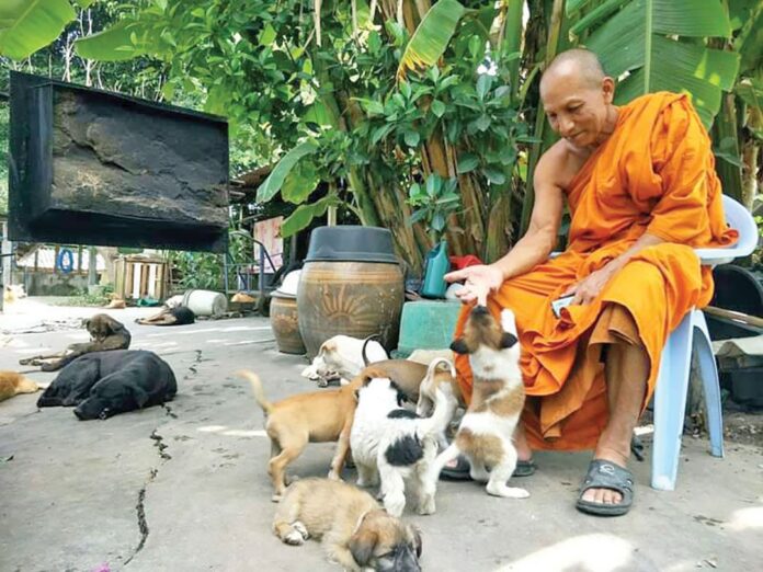 เพื่อนตัวเล็ก