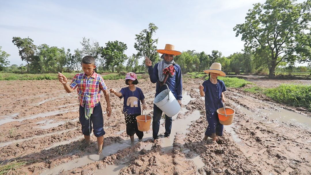 สดจากเยาวชน