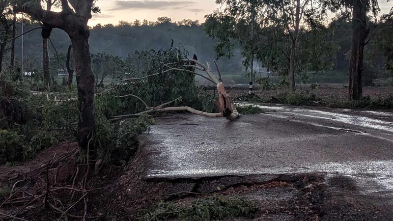 พะเยา สะพรึง พายุซูลิคก่อตัว ทำฝนถล่ม อ.ปง ต้นไม้หักโค่นทับเสาไฟฟ้า ดับทั้งอำเภอ