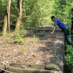 หวั่นขโมยหัวกะโหลก กู้ภัย ตรวจสอบสุสานสมาคมฯ ร่างผู้เสียชีวิต 500 ร่าง อยู่ครบ