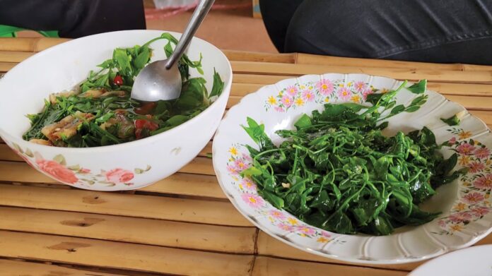 หลาก&หลาย