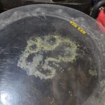 แห่ขอโชคลาภ "ตาทองงิ้วราย" ส่องอ่างน้ำมนต์-ล้วงลูกไข่ เห็นเลขเด็ด เล็งเสี่ยงโชค