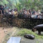 ร่วมลงนาม MOU ดึง “น้องหมูเด้ง” ร่วมระดมทุนช่วยผู้ประสบอุทกภัย
