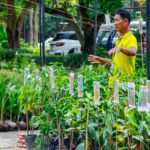 พิพิธภัณฑ์การเกษตรฯ จ.ปทุมธานี จัดงานตลาดเศรษฐกิจพอเพียง 'จากราก สู่รุ่น'