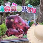 ทะลักสวนสัตว์ หอบลูกจูงหลาน แห่ให้กำลังใจ ลูกฮิปโป หลังถูกบูลลี่ เตรียมตั้งชื่อน้อง