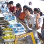 แห่ซื้ออาหารเจ โรงแรมดังสงขลา เปิดครัวปรุงเมนูเด็ด ระดับ 5 ดาว เสิร์ฟริมถนนราคาติดดิน