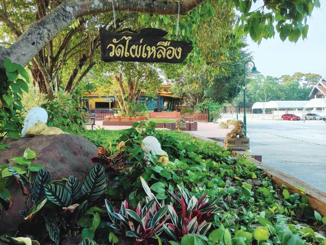 ชวนกันมา พากันมู(เตลู) - ท้าวพญายมราช วัดไผ่เหลือง