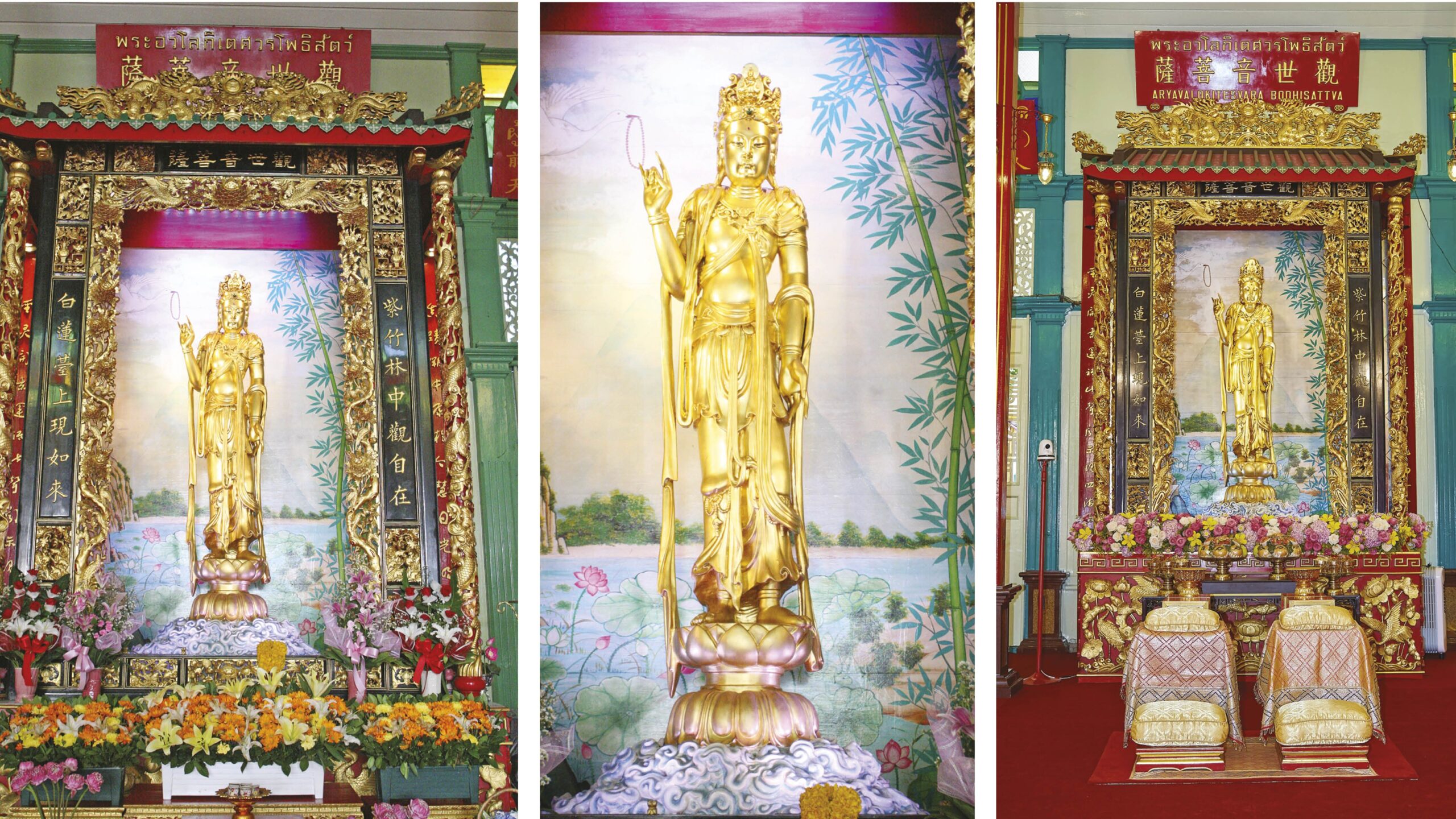 ชวนกันมา พากันมู(เตลู)