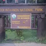 ดอยอินทนนท์ 9 องศาแล้ว อุณหภูมิลดแตะเลขตัวเดียว นักท่องเที่ยวเริ่มคึกคักแห่สัมผัสอากาศหนาว