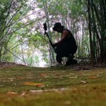 ชวนเดินพรมเขียว ฟูจิครบุรี ปลายฝนต้นหนาว นักท่องเที่ยวสายป่า ไม่ควรพลาด
