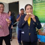 แตงเทศ ลูกผสม แตงไทย-แคนตาลูป ตรงใจคนรักสุขภาพ รสชาติอร่อยถูกปากคนไทย