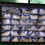เชียงใหม่วิกฤต สั่งทุกหน่วยพร้อมเผชิญมวลน้ำมหาศาลเต็มรูปแบบ น้ำปิงจ่อทะลักท่วมตัวเมือง
