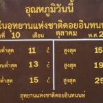 เริ่มหนาวเย็นแล้ว ดอยอินทนนท์ อุณหภูมิต่ำสุด 11 องศา ท้องฟ้าเปิด-ทิวทัศน์สวยงาม
