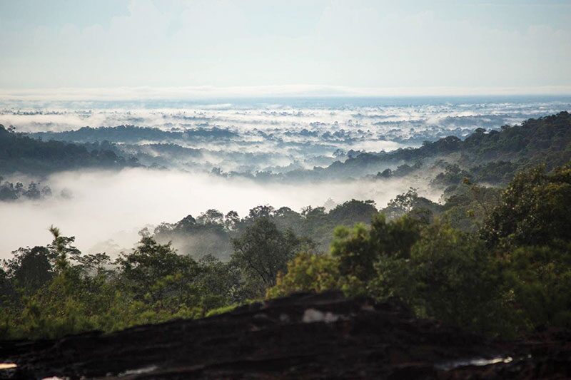 หลาก&หลายท่องเที่ยว - เที่ยวอุทยานฯภูจองนายอย ผืนป่าพนมดงรักอีสานใต้