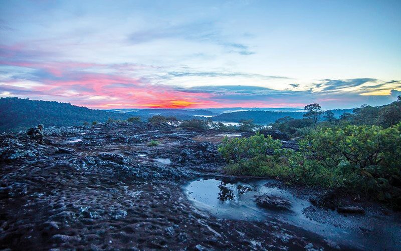หลาก&หลายท่องเที่ยว - เที่ยวอุทยานฯภูจองนายอย ผืนป่าพนมดงรักอีสานใต้