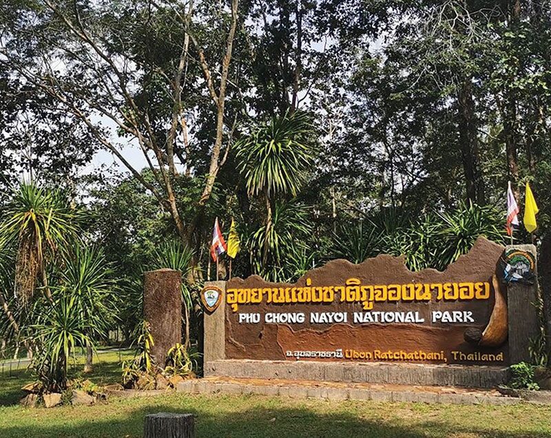 หลาก&หลายท่องเที่ยว - เที่ยวอุทยานฯภูจองนายอย ผืนป่าพนมดงรักอีสานใต้