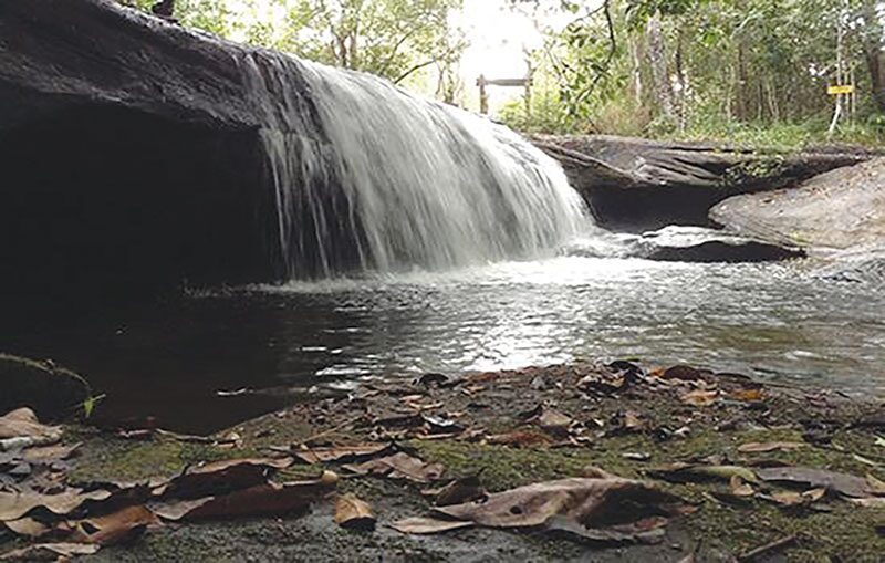 หลาก&หลายท่องเที่ยว - เที่ยวอุทยานฯภูจองนายอย ผืนป่าพนมดงรักอีสานใต้
