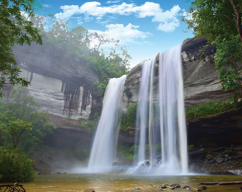 หลาก&หลายท่องเที่ยว - เที่ยวอุทยานฯภูจองนายอย ผืนป่าพนมดงรักอีสานใต้