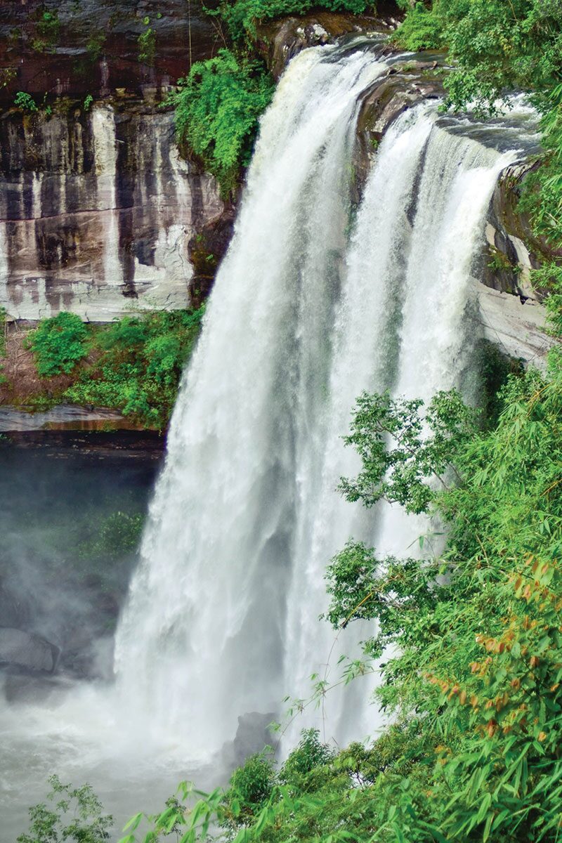 หลาก&หลายท่องเที่ยว - เที่ยวอุทยานฯภูจองนายอย ผืนป่าพนมดงรักอีสานใต้