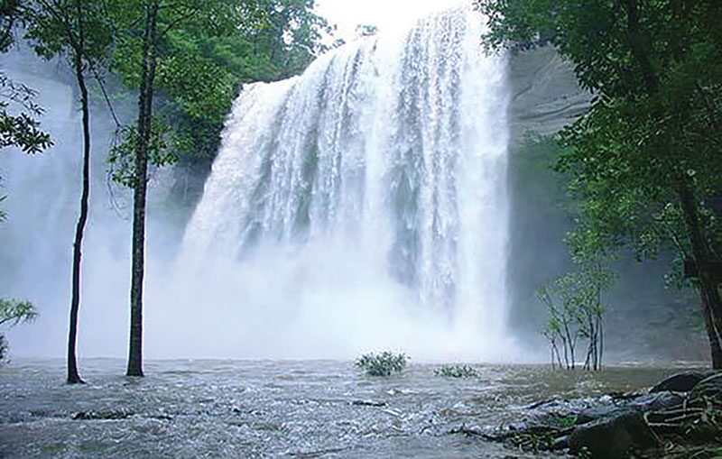 หลาก&หลายท่องเที่ยว - เที่ยวอุทยานฯภูจองนายอย ผืนป่าพนมดงรักอีสานใต้