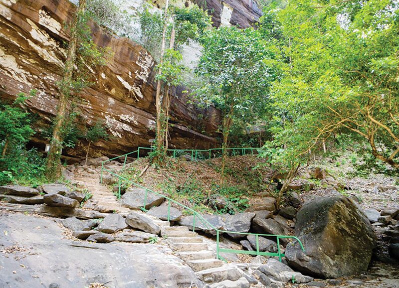 หลาก&หลายท่องเที่ยว - เที่ยวอุทยานฯภูจองนายอย ผืนป่าพนมดงรักอีสานใต้
