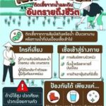 น่ากลัว ไม่ถึง1เดือน 4จังหวัดอีสานล่าง ป่วยโรคไข้ดินเพิ่ม ตาย 2 ราย ย้ำอย่าลุยน้ำย่ำโคลน