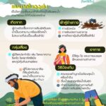 น่ากลัว ไม่ถึง1เดือน 4จังหวัดอีสานล่าง ป่วยโรคไข้ดินเพิ่ม ตาย 2 ราย ย้ำอย่าลุยน้ำย่ำโคลน