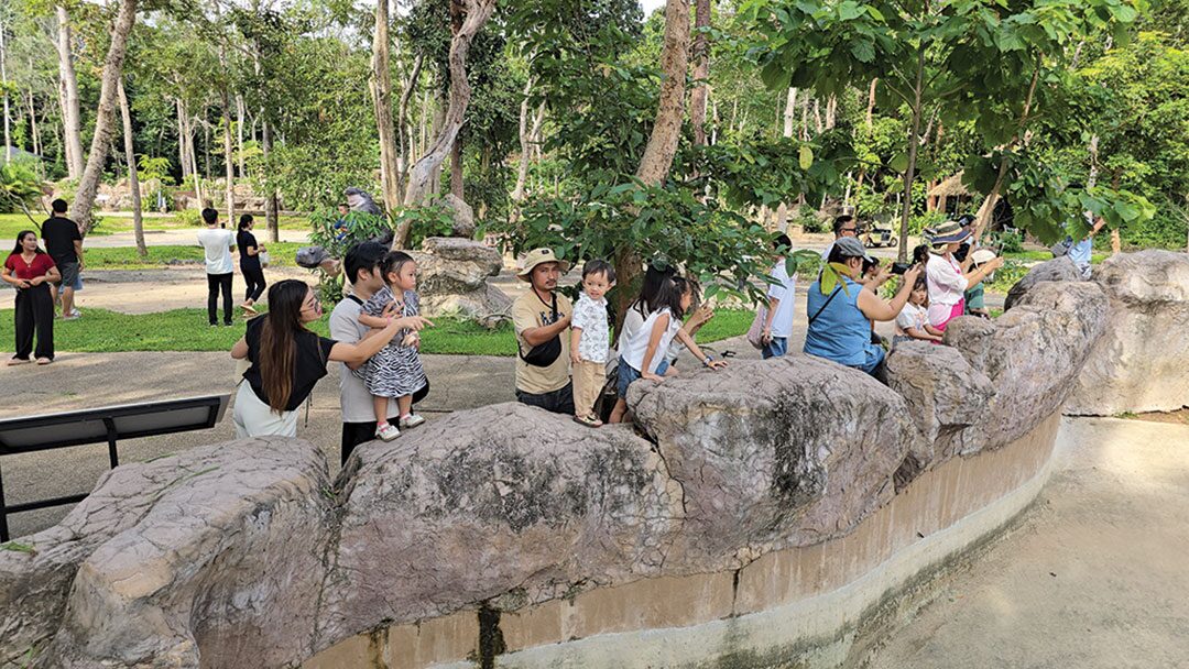 เพื่อนตัวเล็ก
