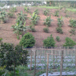 ชุมชนแม่จริม จังหวัดน่าน ตัวอย่างการบูรณาการทุกมิติ