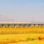นั่งรถไฟความเร็วสูง ชมความสวยงามในฤดูใบไม้ร่วงที่หนิงเซี่ย